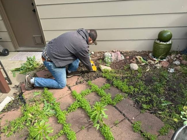 2025 KC Lawn care